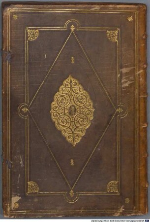 Insignia ... X. Insignia nobilium Patavinorum, impresa Ferrariensium, Pesariensium - BSB Cod.icon. 275