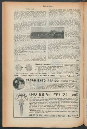 Avicultura : Consultas
