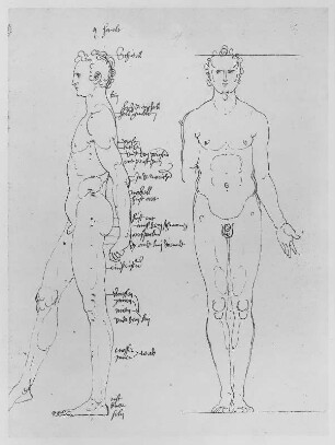 Mann seitlich und von vorn mit Proportionsangaben : Dresdner Skizzenbuch (1507/1528). Mann seitlich und von vorn mit Proportionsangaben (aus: R. Bruck: Das Skizzenbuch von Albrecht Dürer, Straßburg 1905, Tafel 38, Blatt 116 b, Str. 90, Kriegsverlust). Dresden: SLUB Mscr.Dresd.R.147.f