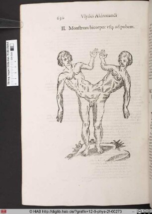 Monstrum bicorpor usq; ad pubem.