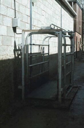 Fotografie: Precision Livestock Farming, Milchviehhaltung, Prozeßtechnik, Tierwaage