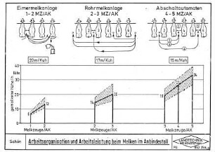 Arbeitsorganisation und Arbeitsleistung beim Melken im Anbindestall