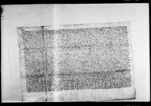 Die Grafen Ludwig I. und Ulrich V. verabreden eine Teilung des Landes zunächst auf vier Jahre.