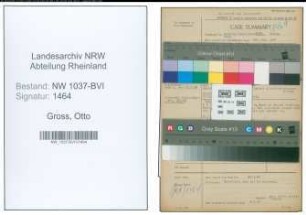 Entnazifizierung Otto Gross , geb. 30.07.1901 (Chemiker)
