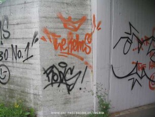 "The RemS"