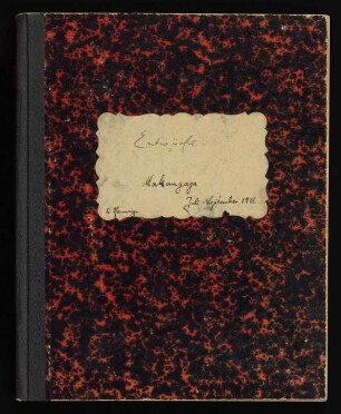 Entwürfe zu Veröffentlichungen über die Tendaguru-Expedition 1911