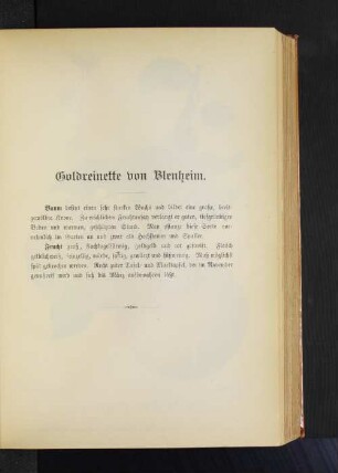 Goldreinette von Blenheim.