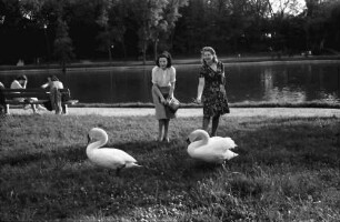 Bukarest: Mädi und Märy mit Schwänen