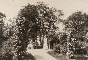 Rosarium. 14. Juli 1900. Centralfriedhof zu Hamburg-Ohlsdorf.