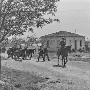 Griechenland. Insel Limnos. Berittene Soldaten der Wehrmacht im Einsatz.