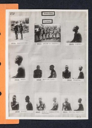 Albumblatt 48 mit Angebotsserie "Kongo-Staat"