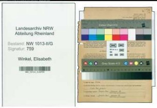 Entnazifizierung Elisabeth Winkel , geb. 03.07.1911 (Blumenbinderin)