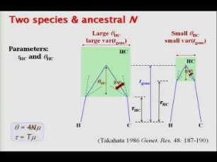 Species delimitation using genomic sequence data