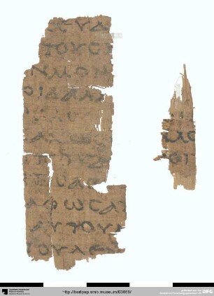 Platon, Apologie 25b–c, 28 b, 40b–41c