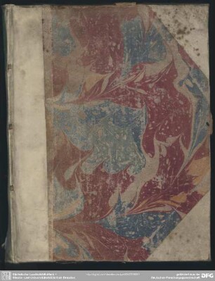 Exercitationem Theologicam De Salutifera Perruptoris Resurrectione, Ex Michae II, 13.