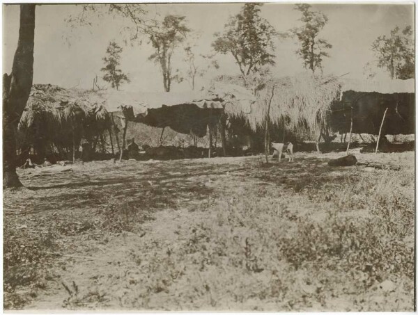 Huts of the Toba Indians