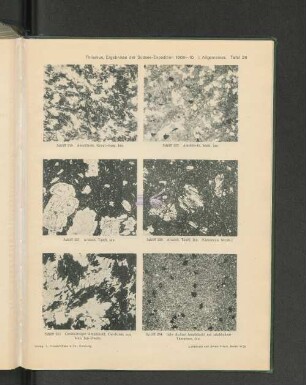 Thilenius, Ergebnisse der Südsee-Expedition 1908-10- I.Allgemeines. Tafel 28