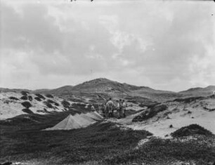 In den Dünen : Jungengruppe mit Zelten in den Dünen von Sylt