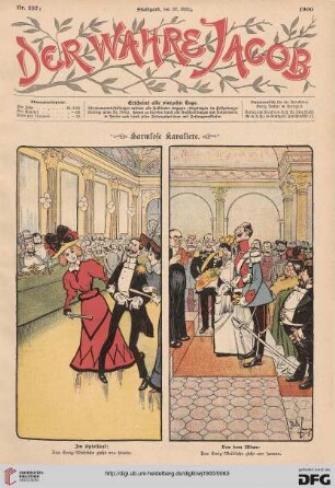 Nr. 357 (27. März 1900)