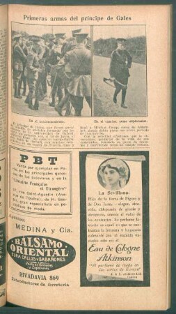 Primeras armas del príncipe de Gales