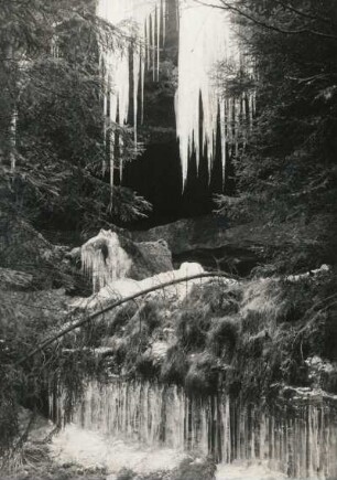 Eiszapfen an einer Felswand (aus Wasseraustritt an Schichtfugen) im Elbsandsteingebirge