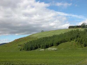 Grampian Highlands : Landschaft im schottischen Hochland, Grampian Highlands, aufgenommen im Juni 2005. Foto Uwe Gerig
