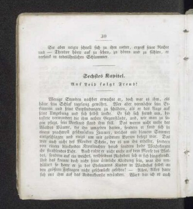 Sechstes Kapitel. Auf Leid folgt Freud!
