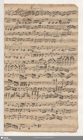 Violine 2