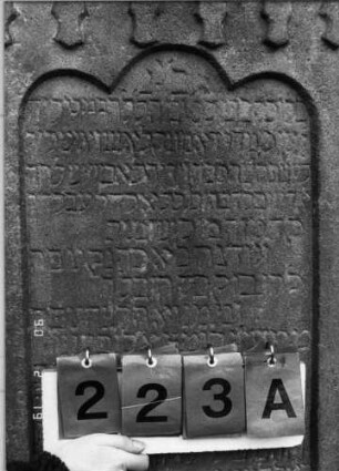 Grabstein 223A