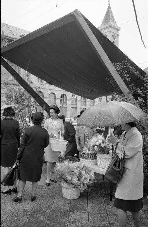 Eröffnung eines Blumenmarktes auf dem Marktplatz.