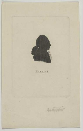 Bildnis des Peter Simon Pallas