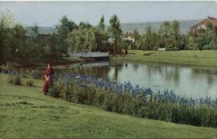 Partie im Kurpark/Landschaftspark