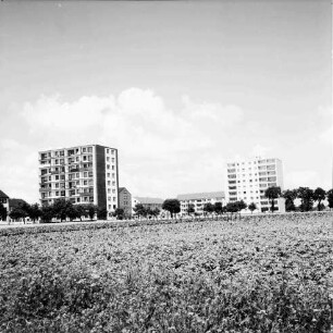 Poppenbütteler Straße: vorne Feld nördlich der Straße, dahinter Wohngebäude der Mittelstraße: Blick nach Nordwesten