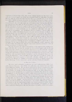 Bau der Leber.