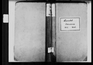Sprantal, evangelische Gemeinde: Geburtenbuch 1810-1869