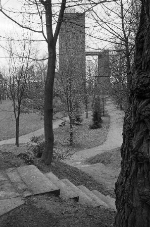 Spazierwege am Turmberg.
