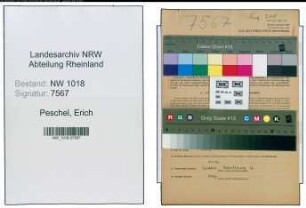 Entnazifizierung Erich Peschel , geb. 10.06.1910 (Lehrer)