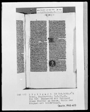 Lateinische Taschenbibel — Initiale O (nus Ninive), darin der Prophet Nahum, Folio 343recto