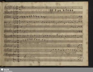 Quartetto: Sian veraci i detti miei
