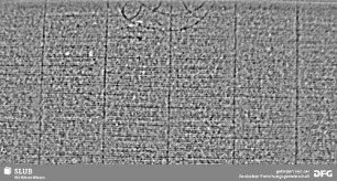 Wasserzeichen S.33_34