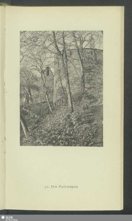 Der Pulverturm