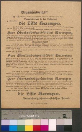 Flugblatt der Braunschweigisch-Niedersächsischen Partei (BNP) zur Wahl des Reichstages am 6. Juni 1920
