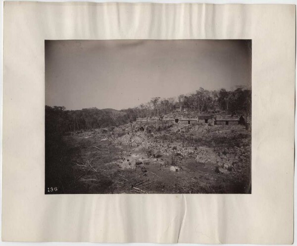 "Palace. Panorama from a 32 foot high tree. West end."