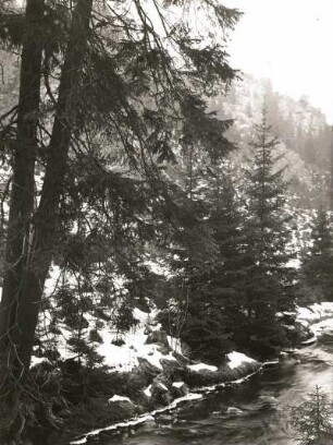 Schwarzwassertal oberhalb von Zöblitz. Schwarze Pockau bei den Nonnenfelsen zur Zeit der Schneeschmelze