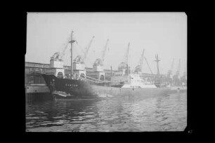Castor (1952), Frachtschiff, Neptun, Dampfschiffahrts-Gesellschaft, Bremen, Bau-Nr. 353