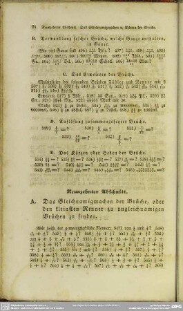 Neunzehnter Abschnitt