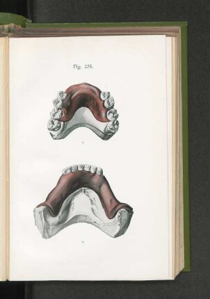 Fig. 235.
