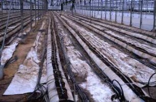 Fotografie: Gartenbautechnik-Gewächshaus, Bewässerung