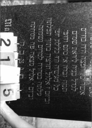 Grabstein 2195 [Hahn S. 184 Grab-Nr. 3153]: Grabstein 2195 (Detailaufnahme 2) [Hahn S. 184 Grab-Nr. 3153]