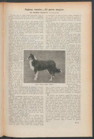 Páginas rurales.- El perro ovejero : Su primer trabajo - (Continuación)